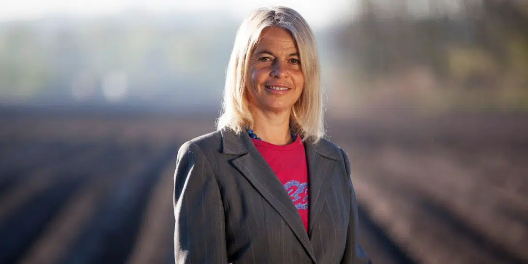 Green swan? Leaders, work for sustainable implementation!